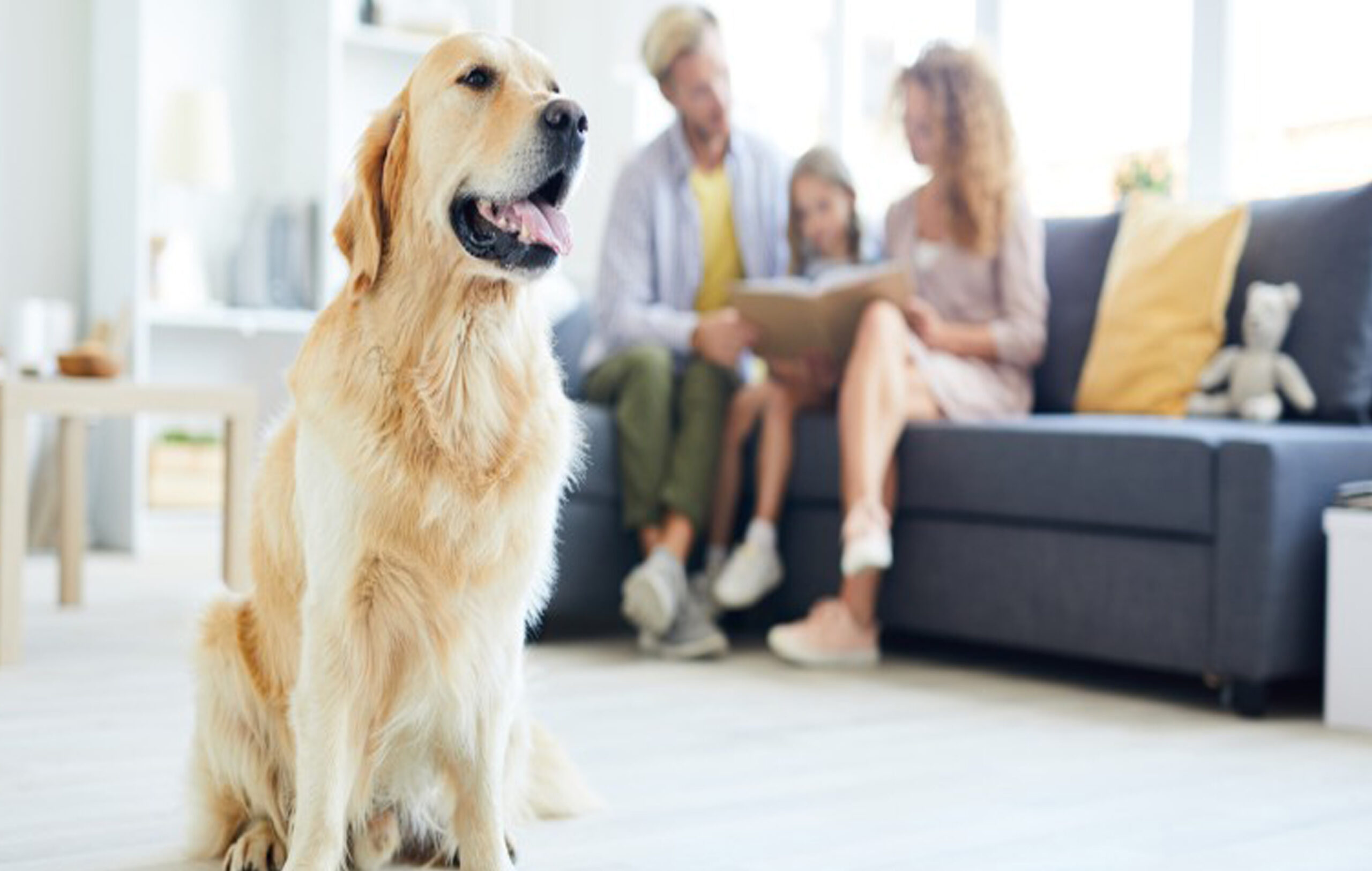 Happy Family Mother Father And Child Near An Empty Brick Wall